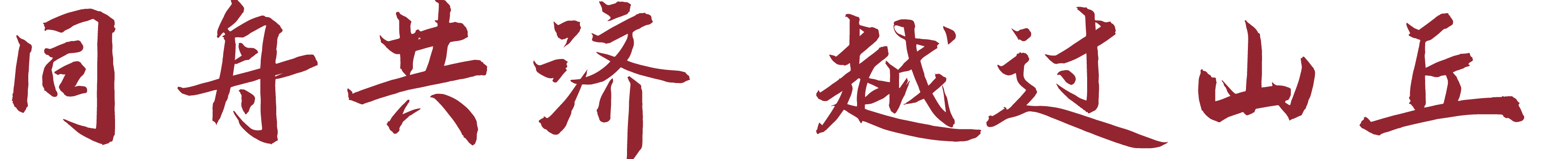 dg.png